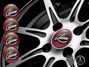 Decalcomania Cerchio Versione Racing Surge Pro